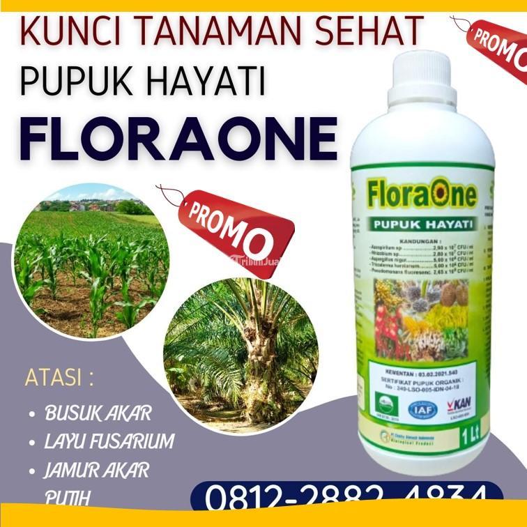AMANAH 081228824834 AGEN Pupuk Hayati Cair Pasaman Pupuk Trichoderma Lubuk Sikaping Trichoderma Kepulauan Mentawai