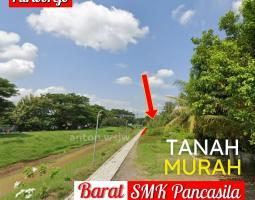 Dijual Tanah Luas 3869m2 Lebar 24m2 SHM Kutoarjo Barat SMK Pancasila - Purworejo Jawa Tengah