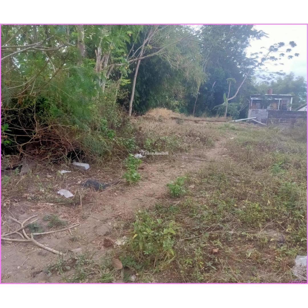 Jual Gebyar Akhir Tahun 2023 Tanah Pekarangan Luas 453m2 Dalam Cluster Jakal Km 8 - Sleman