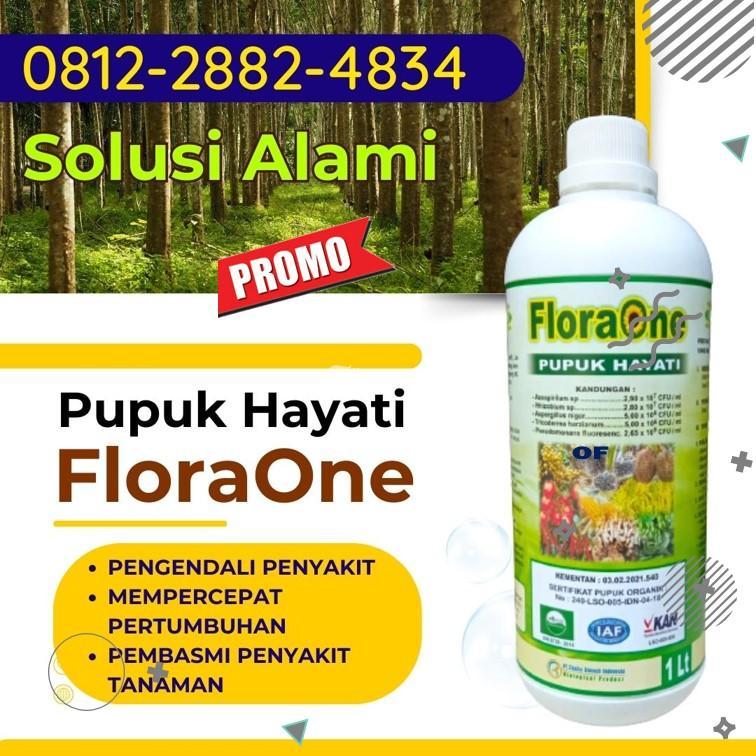 Toko Pupuk Trichoderma Lubuk Sikaping Trichoderma - Pandangpanjang