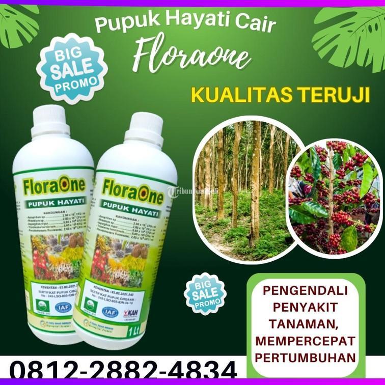 SEDANG PROMO 081228824834 SUPPLIER Trichoderma Kepulauan Mentawai Tricoderma Tuapejat Pupuk Tricoderma Dharmasraya