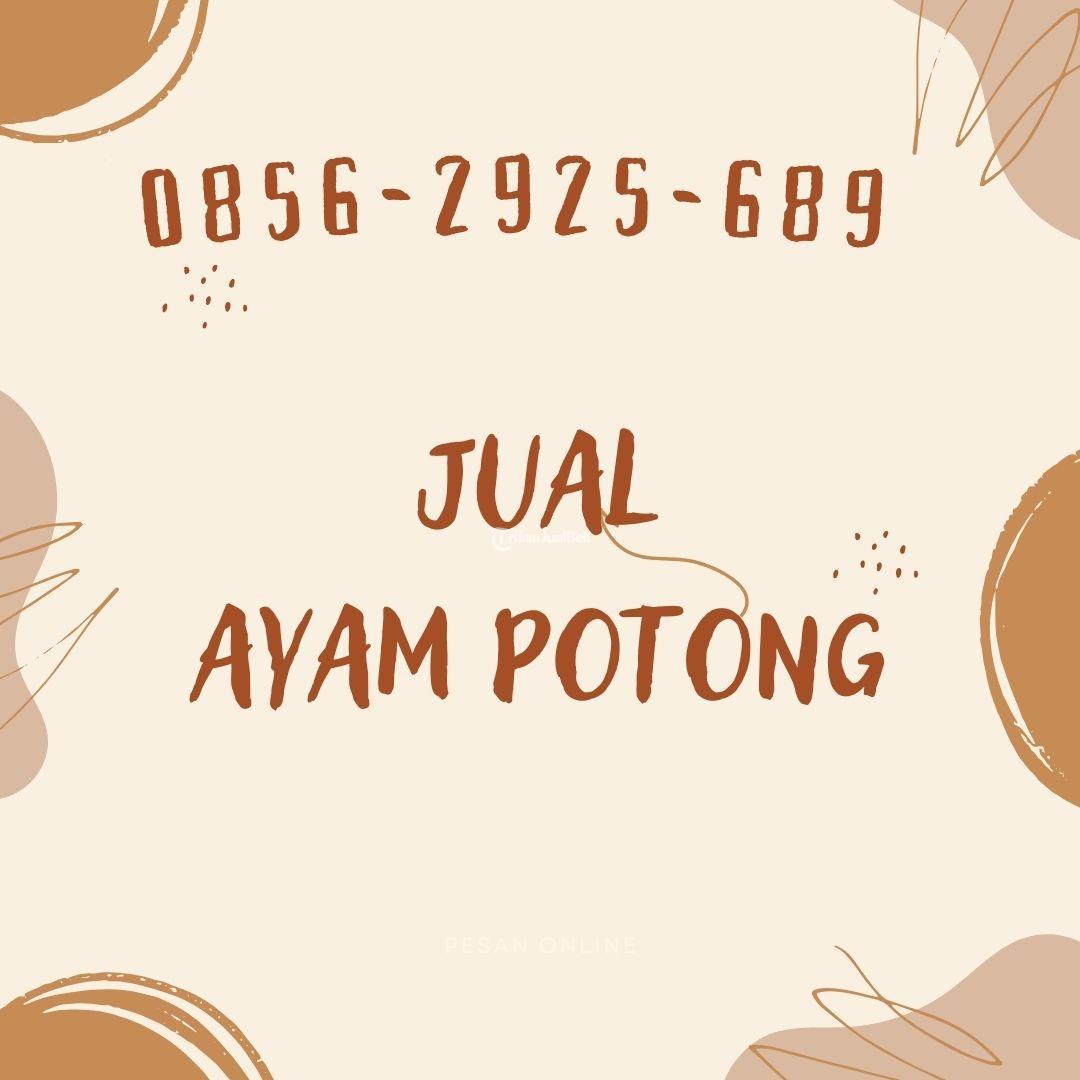 Supplier Ayam Potong Gamping Sleman