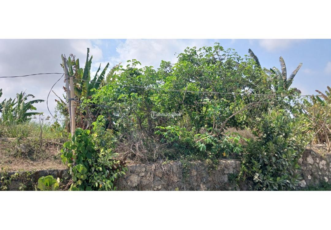 Disewakan Tanah View Laut 1000 m2 di Padang Galak Sanur - Denpasar