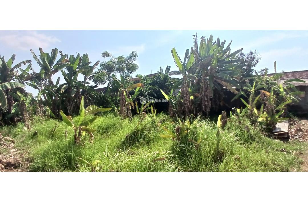 Tanah 4 are di Padang Galak Sanur Denpasar Bali