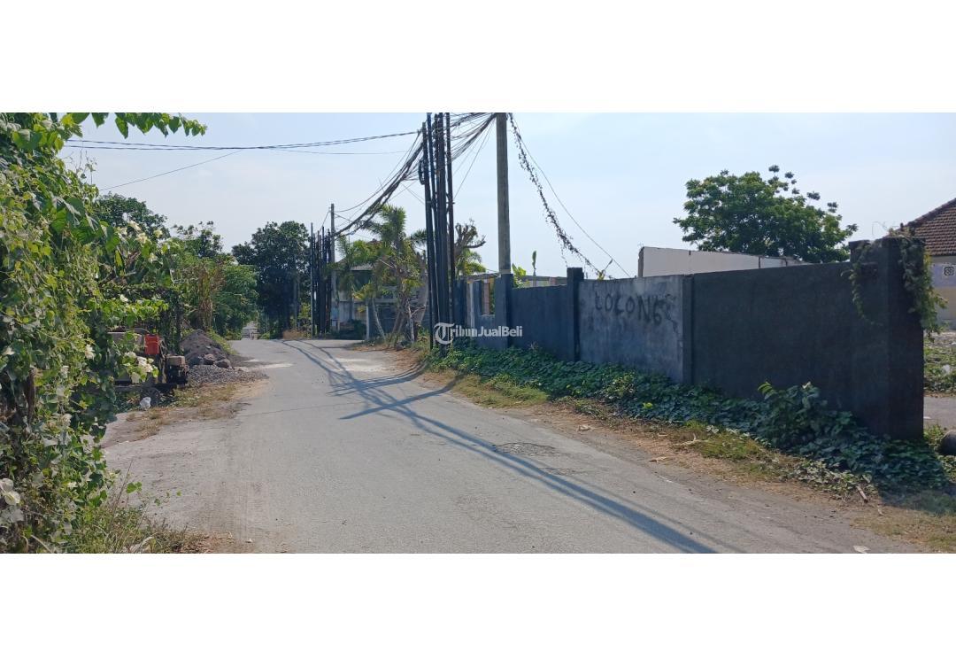 Dijual Tanah 3 Are Nol Jalan Padang Galak - Denpasar Bali