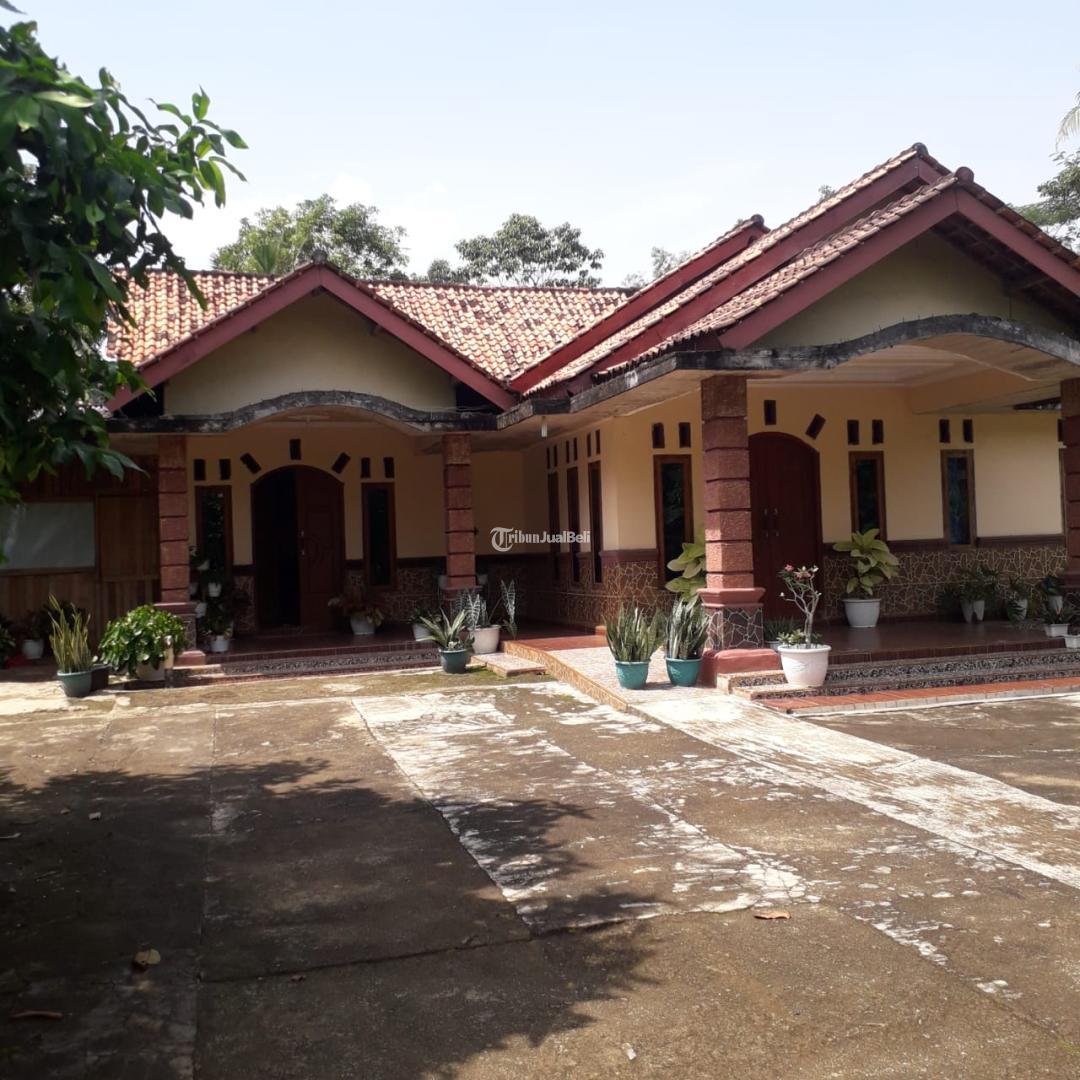 Rumah Bagus Halaman Luas