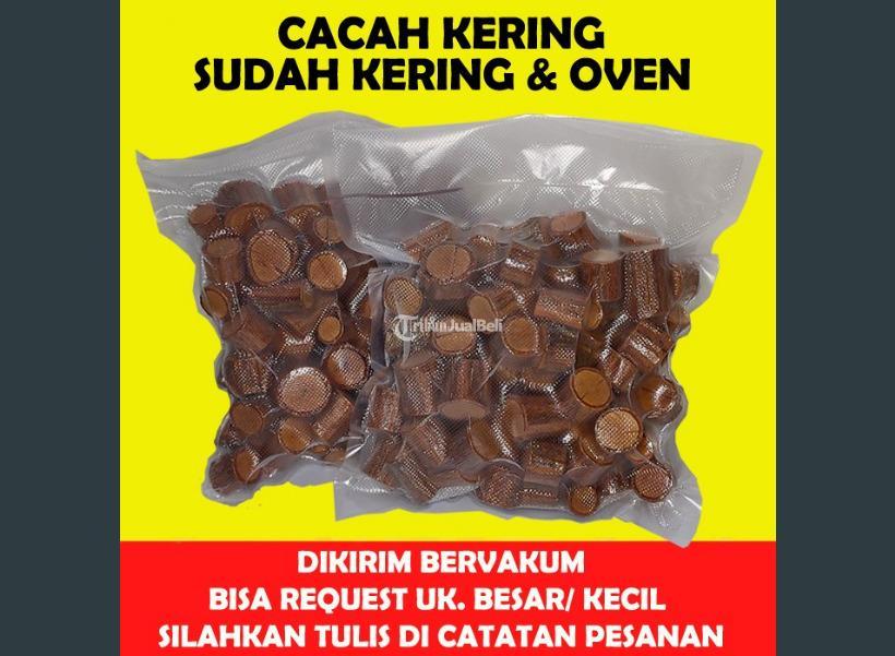 SATU KILO KAYU BAJAKAH ASLI KALIMANTAN OBAT KANKER TUMOR GANAS  500 GR CACAH