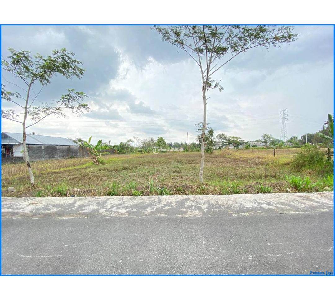 Diskon Akhir Tahun 2023 Tanah Luas Rejodani Sekitar Jalan Palagan