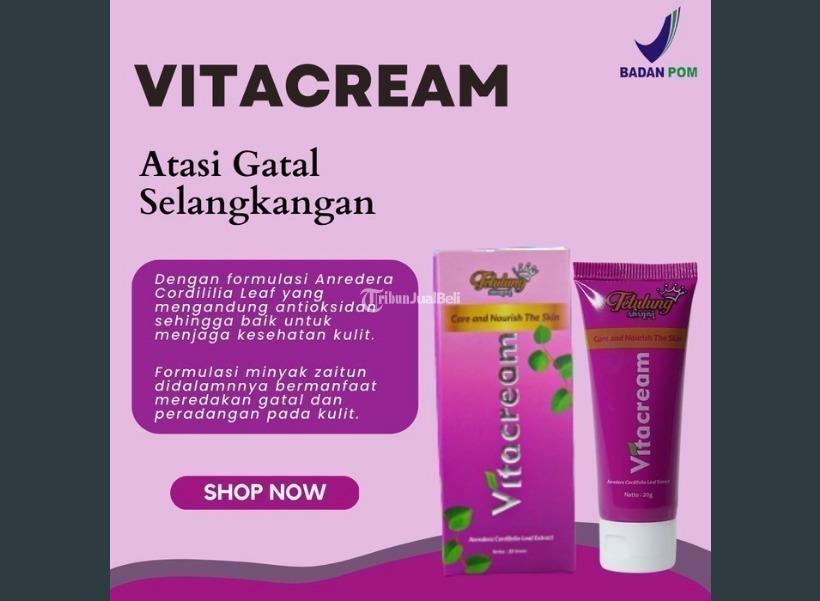 VITAKRIM  Vita Cream Obat Gatal Selangkangan  Pemutih Selangkangan