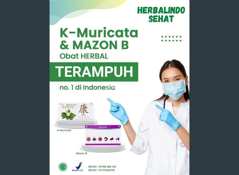 Obat Herbal Khusus Gagal Ginjal Batu Ginjal Bengkak Mazon B K Muricata ...