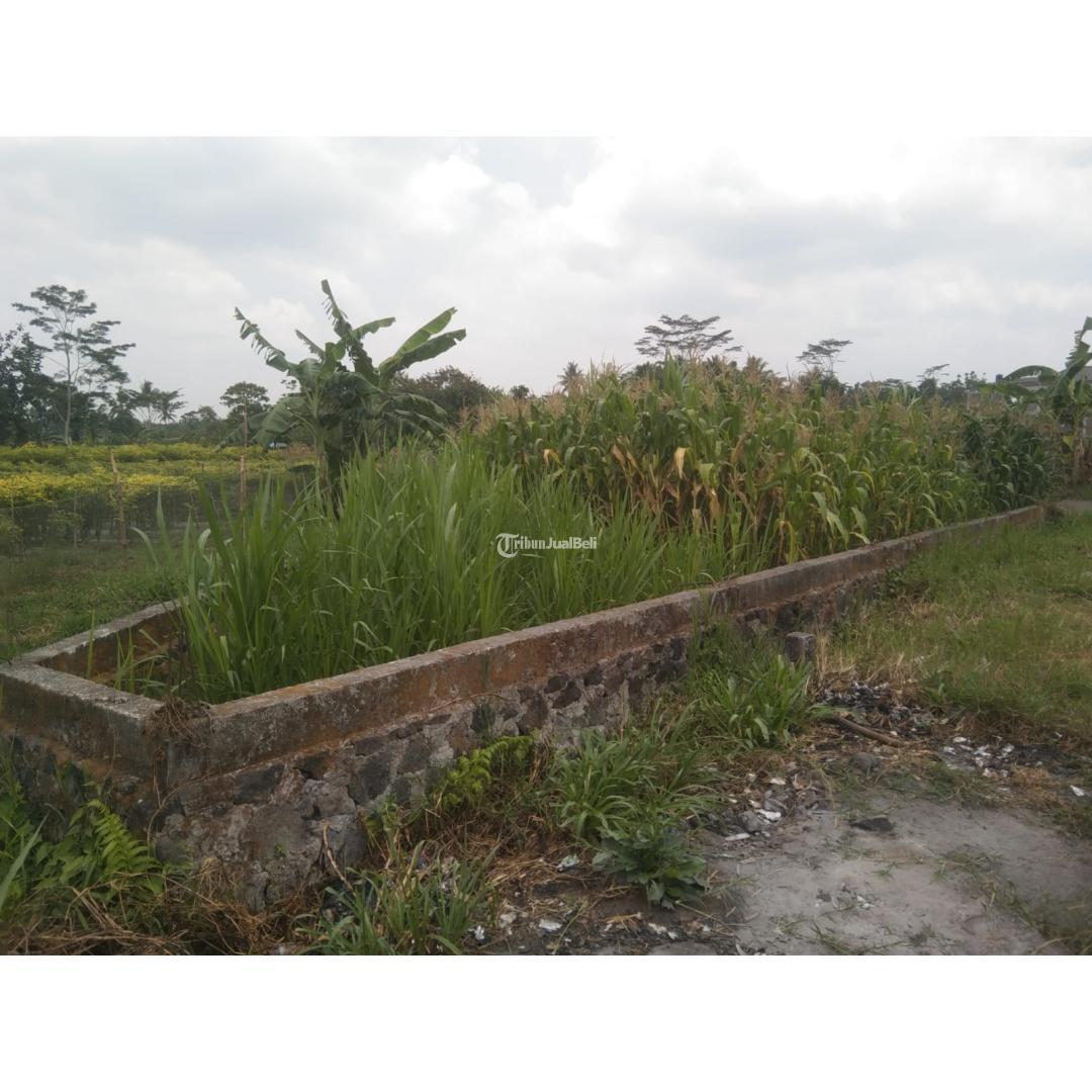 Tanah Sawah Murah Satu satunya gak ada lawan