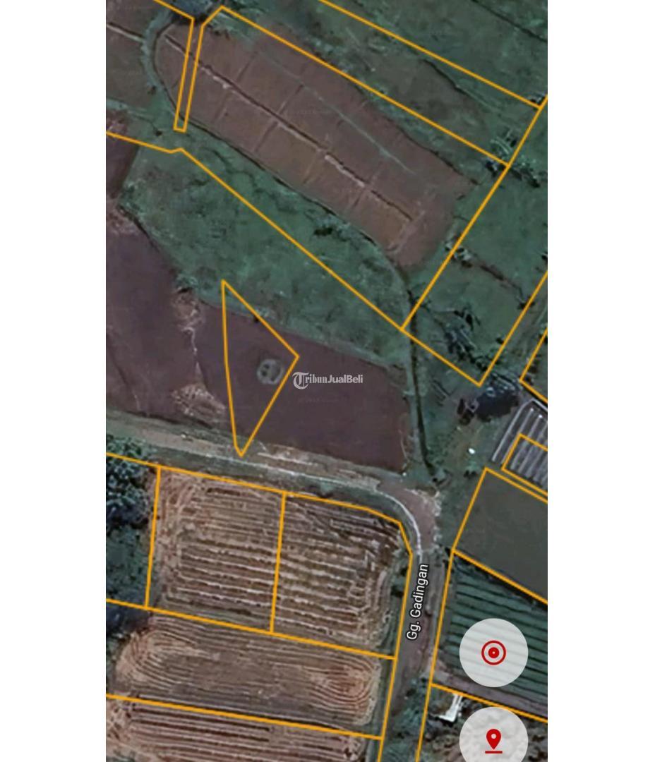 Tanah Sawah Murah Satu satunya gak ada lawan