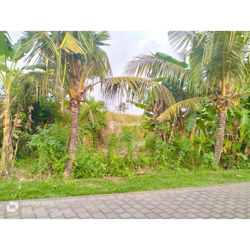 Tanah kavling di Nyambu Kaba - Kaba Tabanan Bali