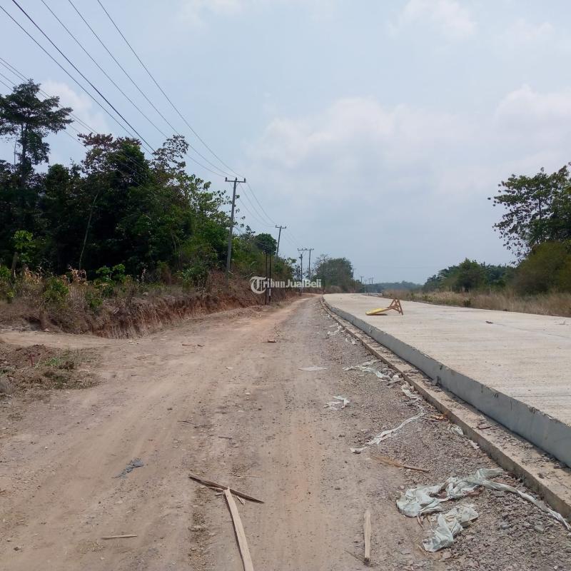 Tanah Pinggir Jalan Raya Murah Terusan Ryacudu KAmpus Itera Lokasi Strategis Bandar Lampunge