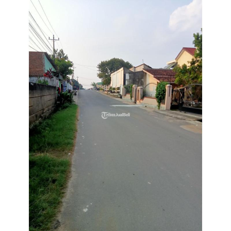 Tanah murah rajabasa bandar lampung belakang kampus unila siap bangun surat shm bisa bangun kos kosan atau cluster rumah