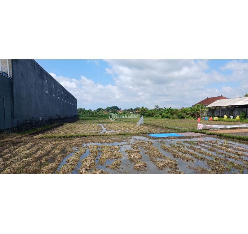 Tanah 1800 m2 area Mengwi Badung Bali dkt terminal