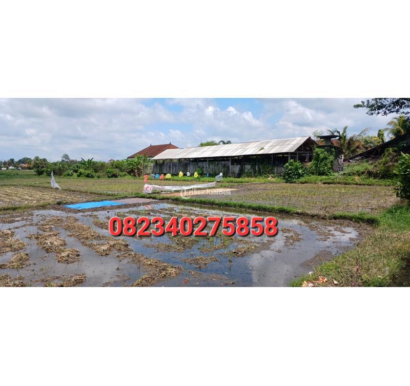 Tanah 1800 m2 area Mengwi Badung Bali dkt terminal