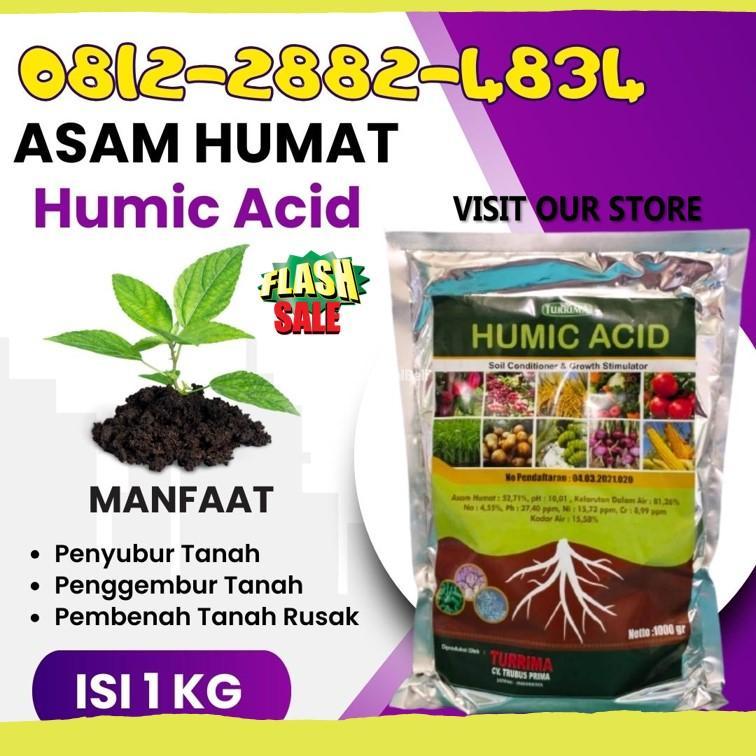 AGEN Pupuk Asam Humat Sampang, Asam Humat Penyubur Lahan Sidoarjo