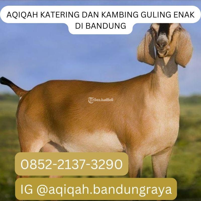 AFDHOL WA 0852-2137-3290 UMMA AQIQAH di Pasir Impun Bandung