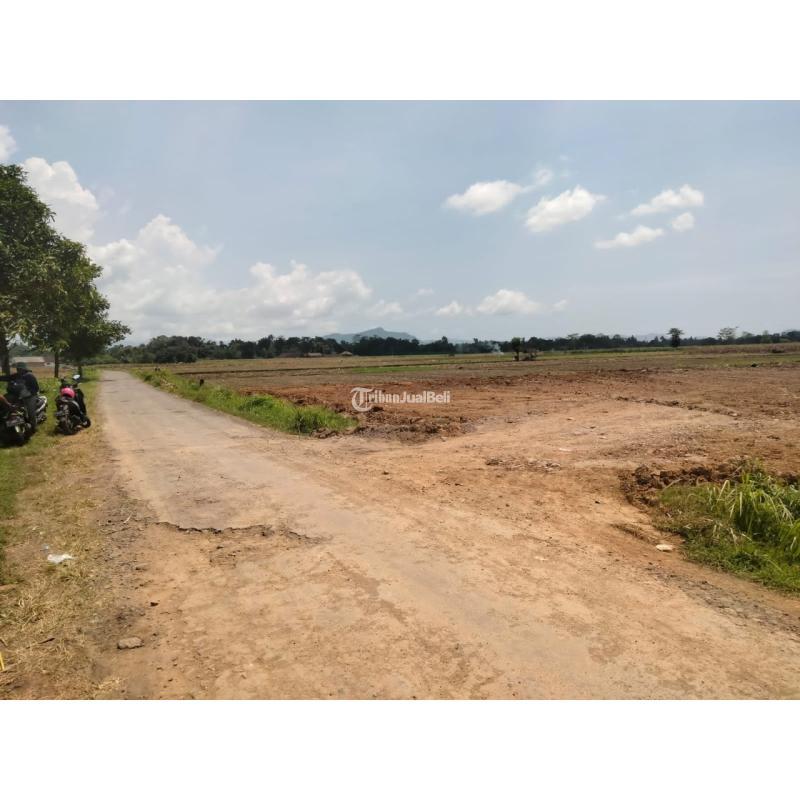 BISA DICICIL LAHAN SIAP BANGUN DI JENGGAWAH HANYA 40 JUTA