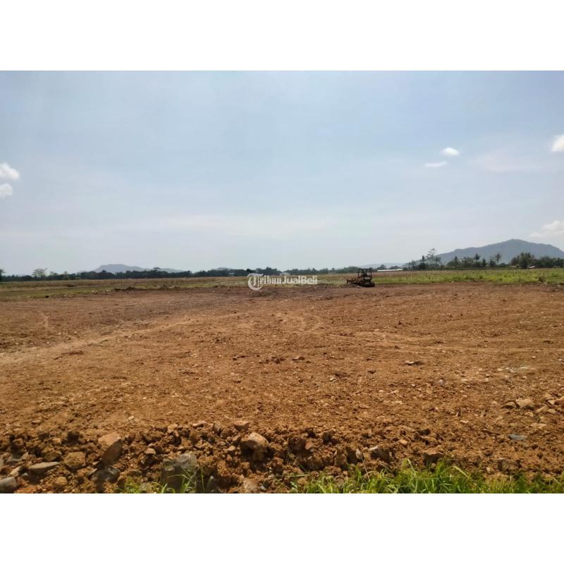 BISA DICICIL LAHAN SIAP BANGUN DI JENGGAWAH HANYA 40 JUTA