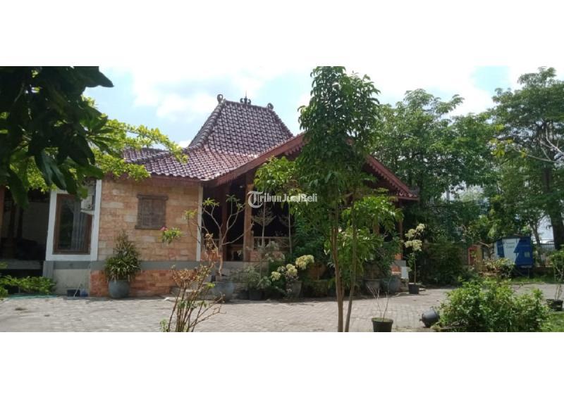 Lahan industri di Lamongan Jawa Timur