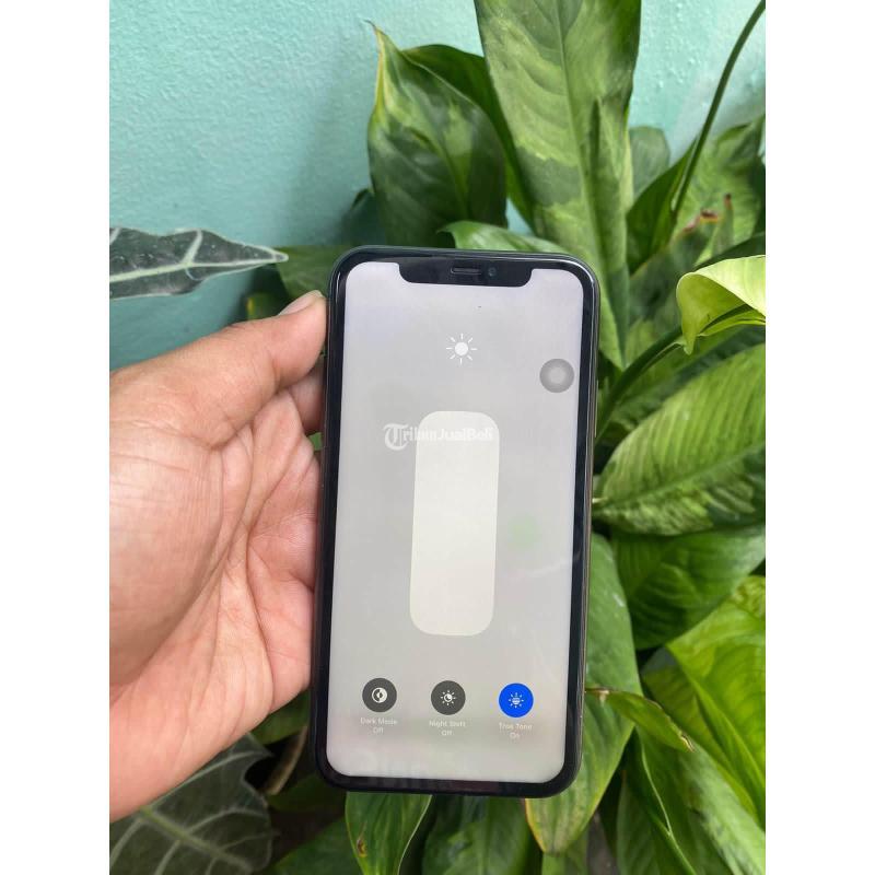 HP IPhone 11 Bekas 64 GB Siap Pakai Fullset Harga Terjangkau Di ...