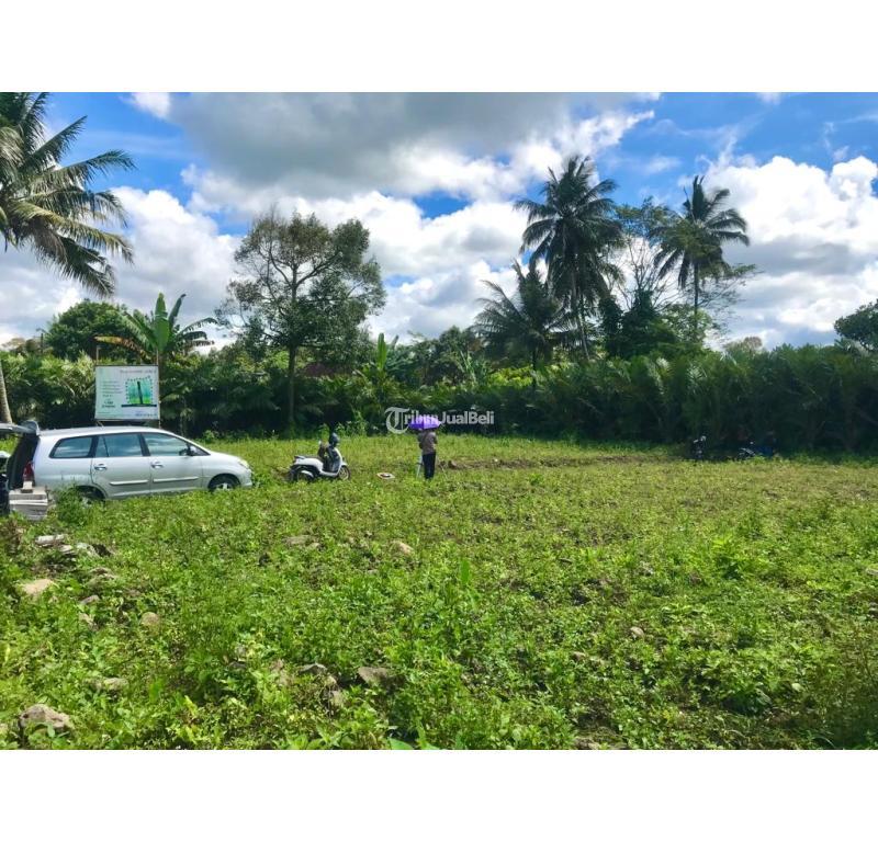 TANAH MURAH BELAKANG KANTOR KECAMATAN TURI HARGA 1 JUTAANM SHM PEKARANGAN