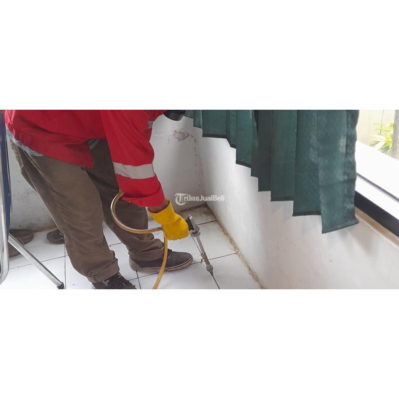 Anti Rayap Terpercaya  Dan Bergaransi