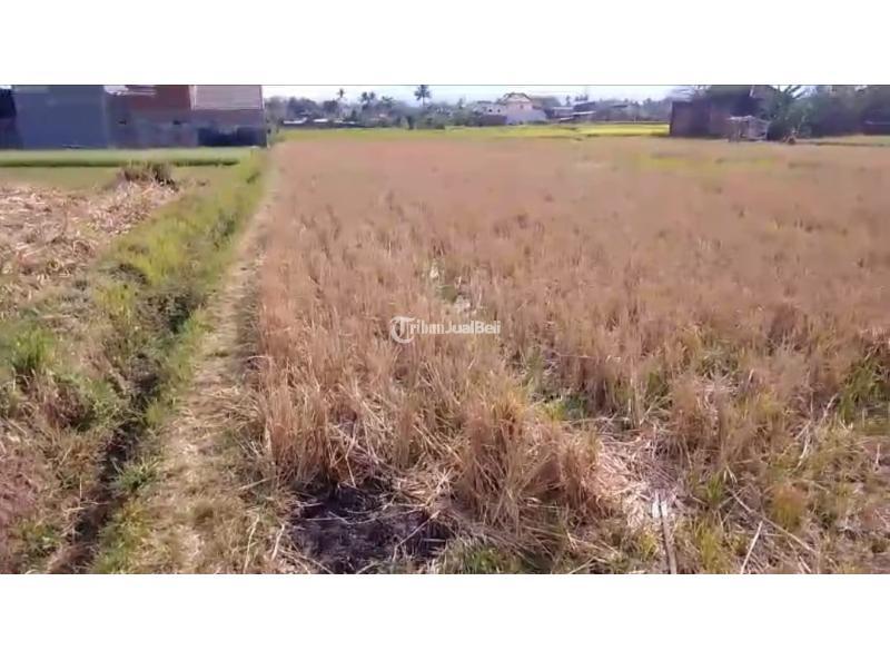 Tanah dijual lokasi Kepuh, Kabupaten Malang