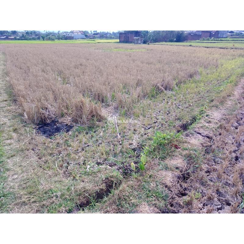 Tanah dijual lokasi Kepuh, Kabupaten Malang