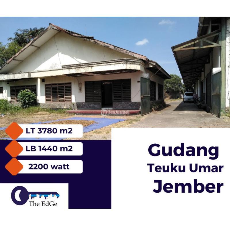 Gudang Teuku Umar Multiple Room Jember  The EdGe