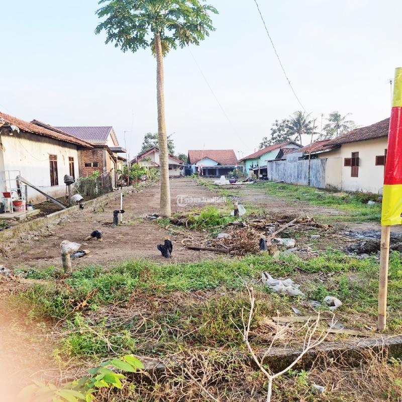 Dijual Tanah Di Pinggir Jalan Dekat Sma Negeri Legalitas Shm Lt M Di Cilacap Tribun Jualbeli