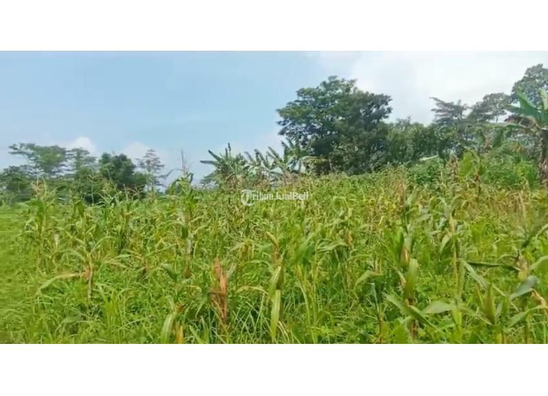 Dijual Tanah di SingosariLegalitas SHM AJB PTSL Malang