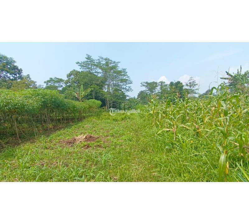 Dijual Tanah di SingosariLegalitas SHM AJB PTSL Malang