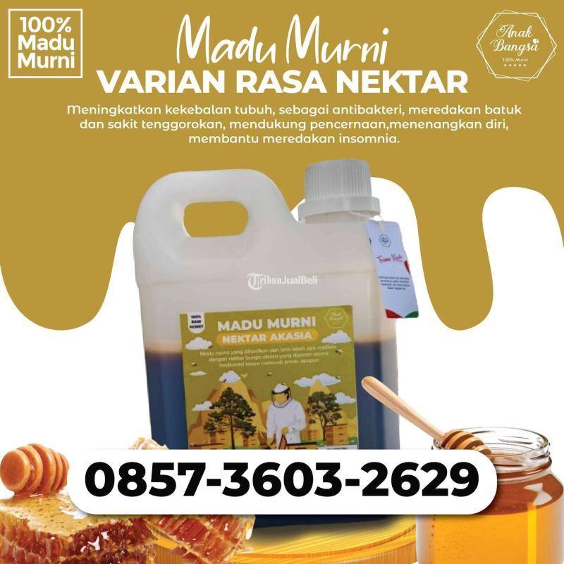 Supplier Madu Murni Nektar Varian 1000gr Atau 1kg Di Mojokerto Tribun Jualbeli