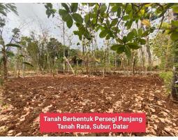 Jual Tanah Luas 559m2 SHM di Wiladeg Karangmojo Strategis Dekat Fasilitas Umum dan Kota Wonosari - Gunung Kidul Yogyakarta