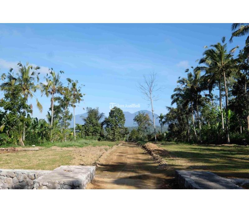 Tanah Murah Bagus Buahan Kaja Payangan Ubud Gianyar Bali