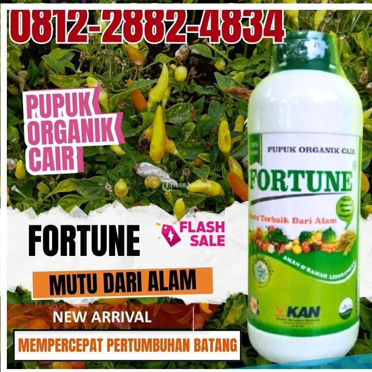 RAMAH LINGKUNGAN 0812-2882-4834, TOKO Pupuk Organik Cair Terbaik Kudus, Pupuk Organik Terbaik Magelang, Pupuk Organik Cabe Mungkid