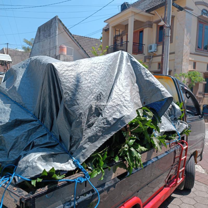 , 081934453449,jasa buang barang apa saja jogja