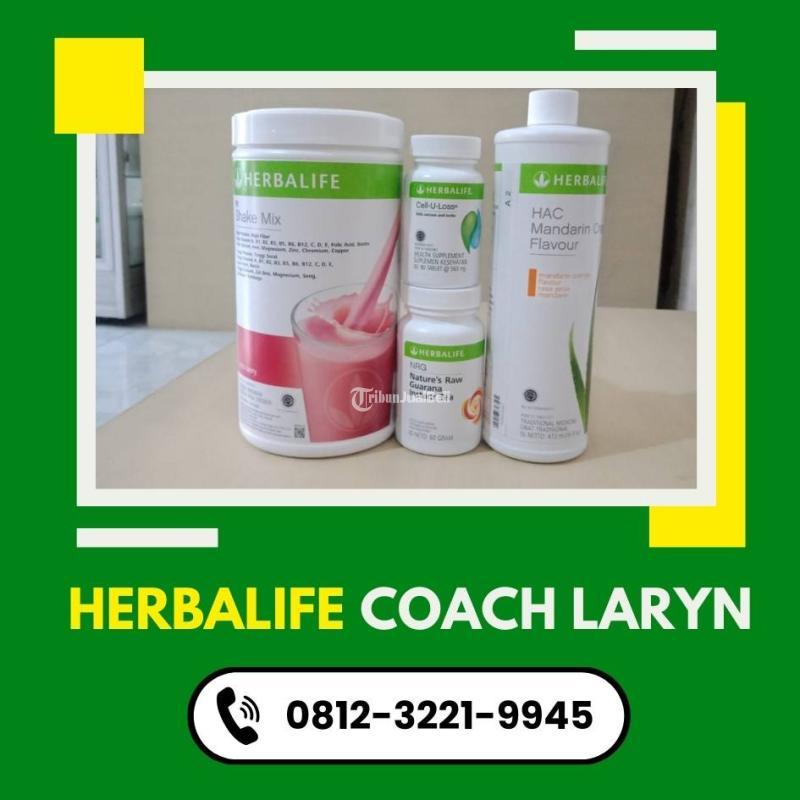 Distributor Herbalife Buat Gemukin Badan di Jakarta Timur Tribun JualBeli