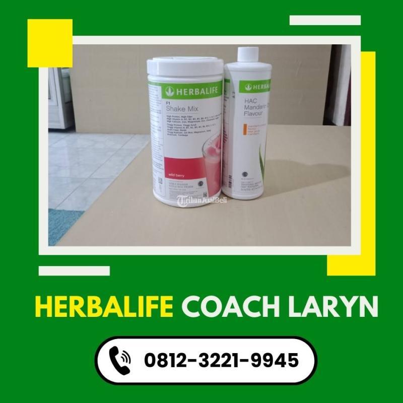 Distributor Herbalife Buat Gemukin Badan di Jakarta Timur Tribun JualBeli