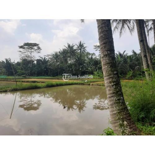 Tanah Strategis Lokasi Pinggir Jalan Raya AMD Cibentang Ciseeng - Bogor