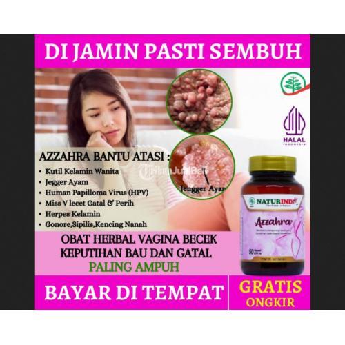 Obat Alami Kutil Kelamin Wanita Bintik Putih Jegger Ayam HPV Daging Tumbuh