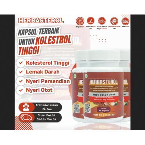 Herbasterol - Atasi Asam Urat Kolesterol Darah Tinggi Lemak Darah Tinggi
