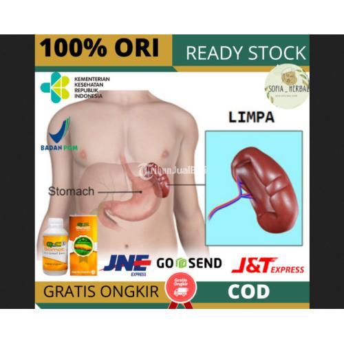 OBAT HERBAL LIMPA BENGKAK, PEMBENGKAKAN LIMPA , PEMBESARAN LIMPA