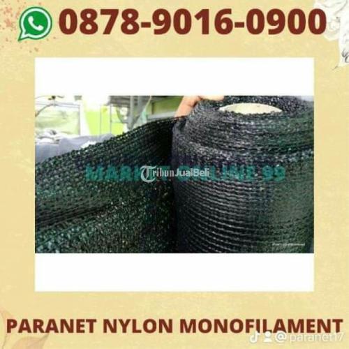 Kualitas Terjamin, WA+6287890160900, Pusat Penjualan Paranet ayam Sidoarjo