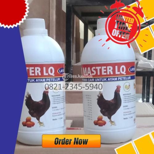 Suplemen Pakan Ayam Petelur Kamal Bangkalan