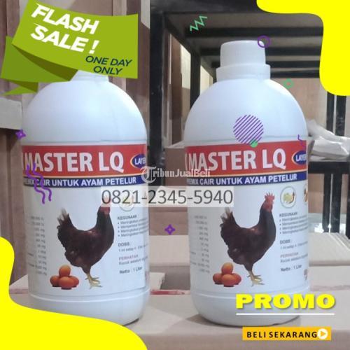 Obat Perangsang Telur Ayam Layer Kademangan Blitar