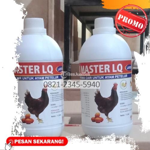Vitamin Ayam Petelur Umur 14 Minggu Wringin Agung Banyuwangi